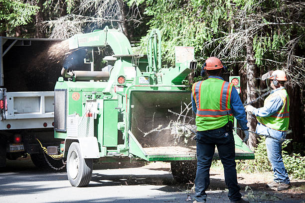 Lawn Drainage Solutions in Priest River, ID